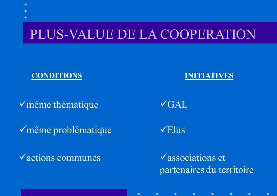 CONDITIONSINITIATIVES même thématique même problématique actions communes Elus GAL associations et partenaires du territoire PLUS-VALUE DE LA COOPERATION