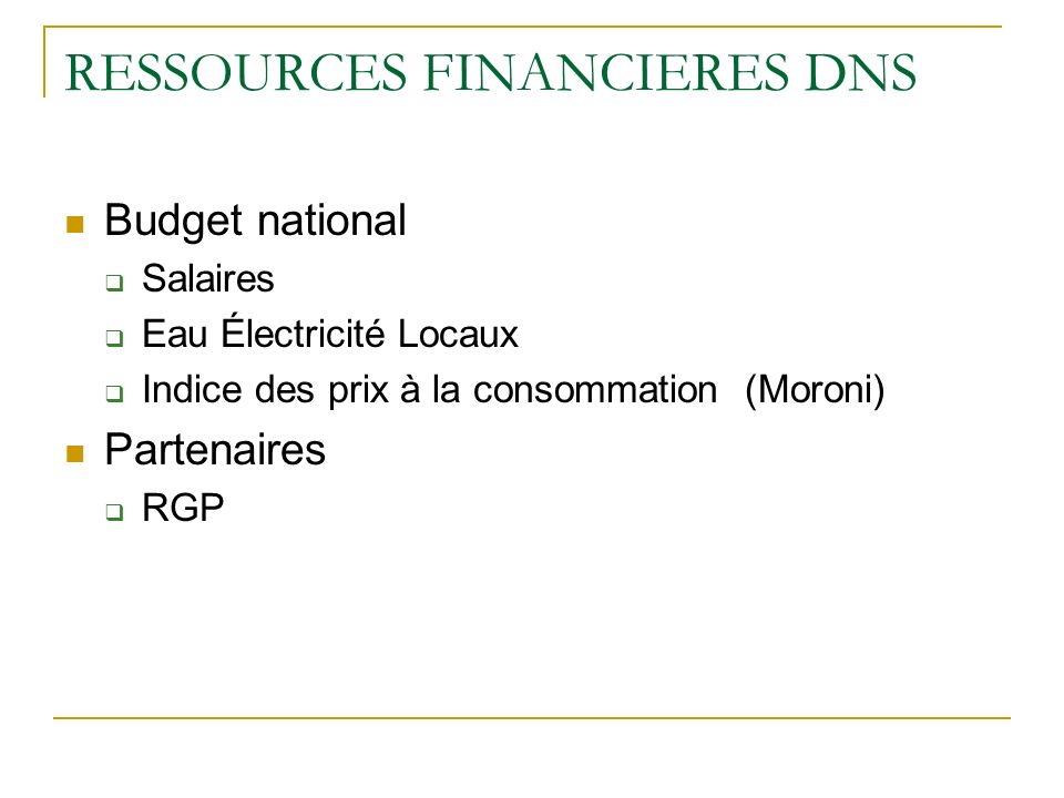 RESSOURCES FINANCIERES DNS Budget national Salaires Eau Électricité Locaux Indice des prix à la consommation (Moroni) Partenaires RGP