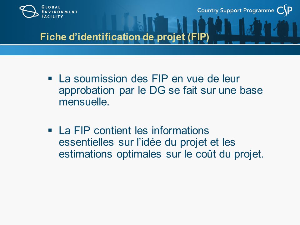 Fiche didentification de projet (FIP) La soumission des FIP en vue de leur approbation par le DG se fait sur une base mensuelle.