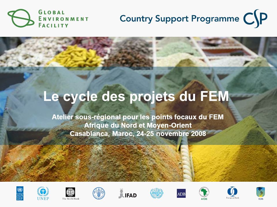 Le cycle des projets du FEM Atelier sous-régional pour les points focaux du FEM Afrique du Nord et Moyen-Orient Casablanca, Maroc, novembre 2008