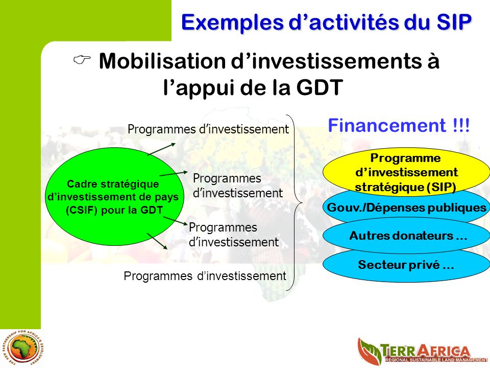 Exemples dactivités du SIP Mobilisation dinvestissements à lappui de la GDT Gouv./Dépenses publiques Financement !!.