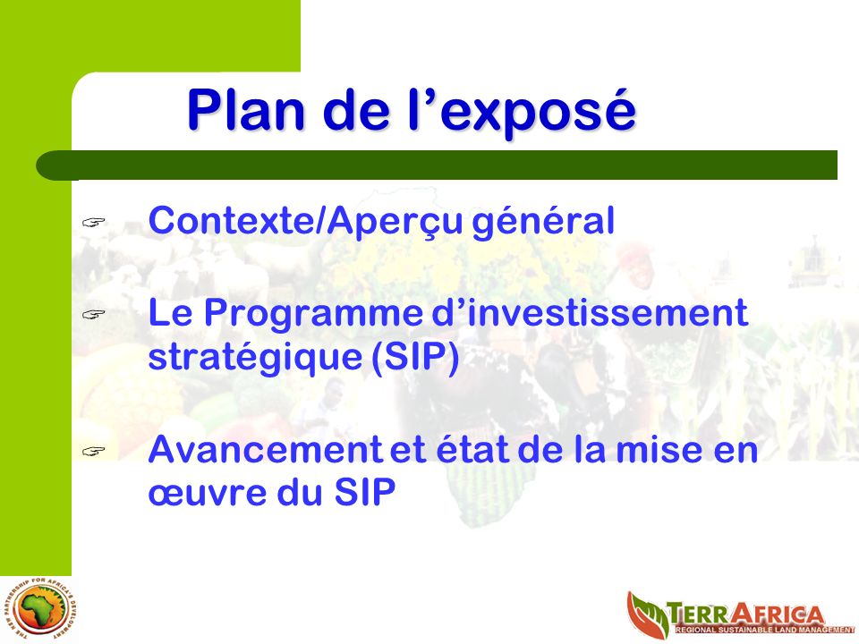 Plan de lexposé Contexte/Aperçu général Le Programme dinvestissement stratégique (SIP) Avancement et état de la mise en œuvre du SIP