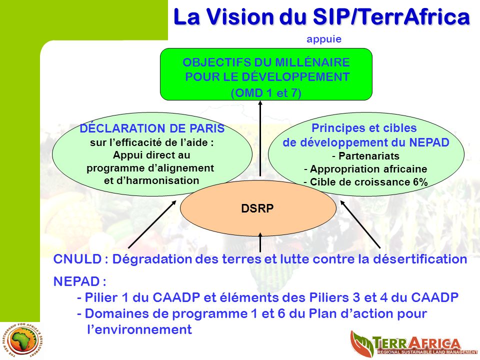 CNULD : Dégradation des terres et lutte contre la désertification NEPAD : - Pilier 1 du CAADP et éléments des Piliers 3 et 4 du CAADP - Domaines de programme 1 et 6 du Plan daction pour lenvironnement La Vision du SIP/TerrAfrica appuie OBJECTIFS DU MILLÉNAIRE POUR LE DÉVELOPPEMENT (OMD 1 et 7) DÉCLARATION DE PARIS sur lefficacité de laide : Appui direct au programme dalignement et dharmonisation Principes et cibles de développement du NEPAD - Partenariats - Appropriation africaine - Cible de croissance 6% DSRP