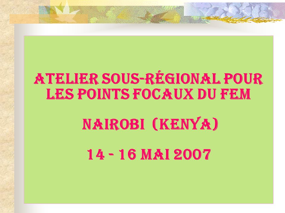 ATELIER SOUS-RÉGIONAL POUR LES POINTS FOCAUX DU FEM Nairobi (Kenya) MaI 2007