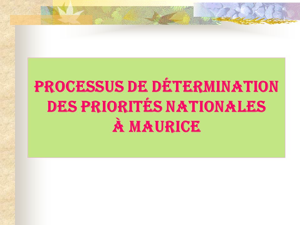 PROCESSUS DE DÉTERMINATION DES PRIORITÉS NATIONALES À MAURICE