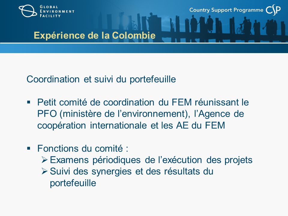 Expérience de la Colombie Coordination et suivi du portefeuille Petit comité de coordination du FEM réunissant le PFO (ministère de lenvironnement), lAgence de coopération internationale et les AE du FEM Fonctions du comité : Examens périodiques de lexécution des projets Suivi des synergies et des résultats du portefeuille