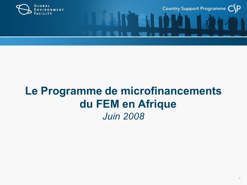 1 Le Programme de microfinancements du FEM en Afrique Juin 2008