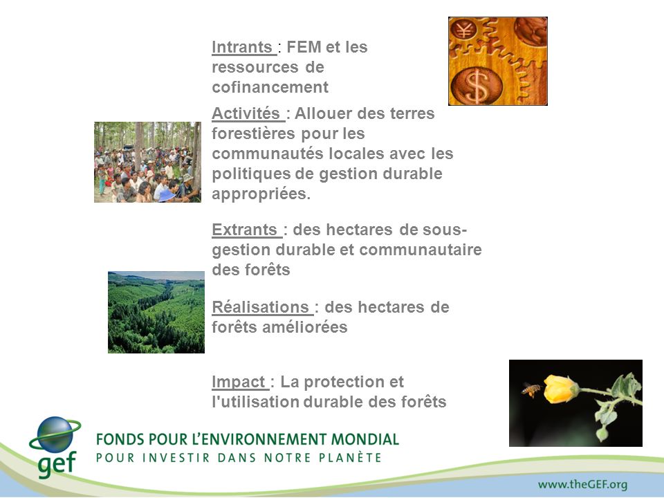 Intrants : FEM et les ressources de cofinancement Activités : Allouer des terres forestières pour les communautés locales avec les politiques de gestion durable appropriées.