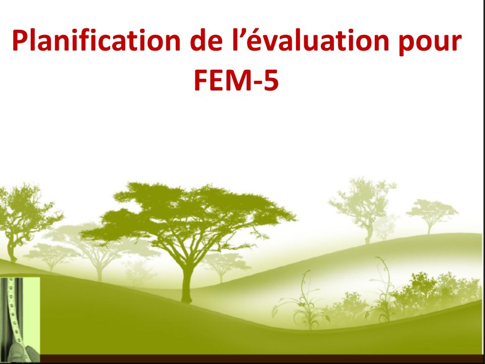 Planification de lévaluation pour FEM-5