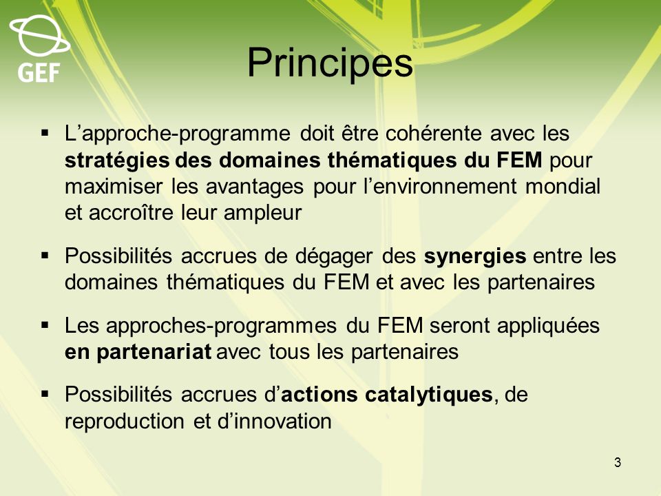 Principes Lapproche-programme doit être cohérente avec les stratégies des domaines thématiques du FEM pour maximiser les avantages pour lenvironnement mondial et accroître leur ampleur Possibilités accrues de dégager des synergies entre les domaines thématiques du FEM et avec les partenaires Les approches-programmes du FEM seront appliquées en partenariat avec tous les partenaires Possibilités accrues dactions catalytiques, de reproduction et dinnovation 3