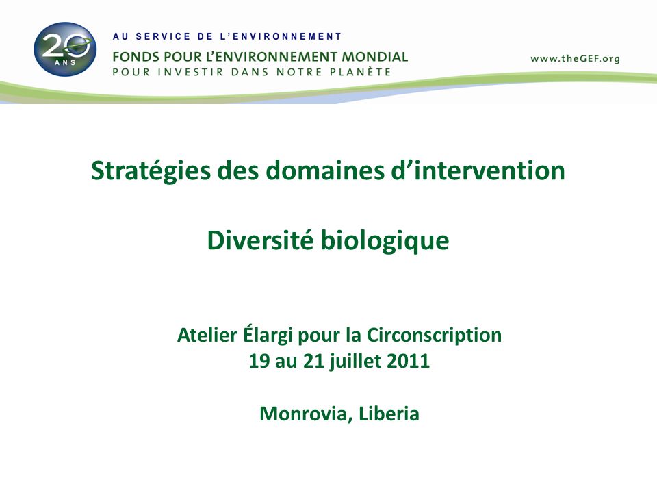 Stratégies des domaines dintervention Diversité biologique Atelier Élargi pour la Circonscription 19 au 21 juillet 2011 Monrovia, Liberia
