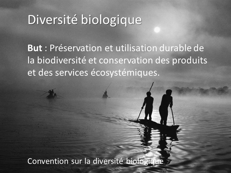 Diversité biologique But : Préservation et utilisation durable de la biodiversité et conservation des produits et des services écosystémiques.