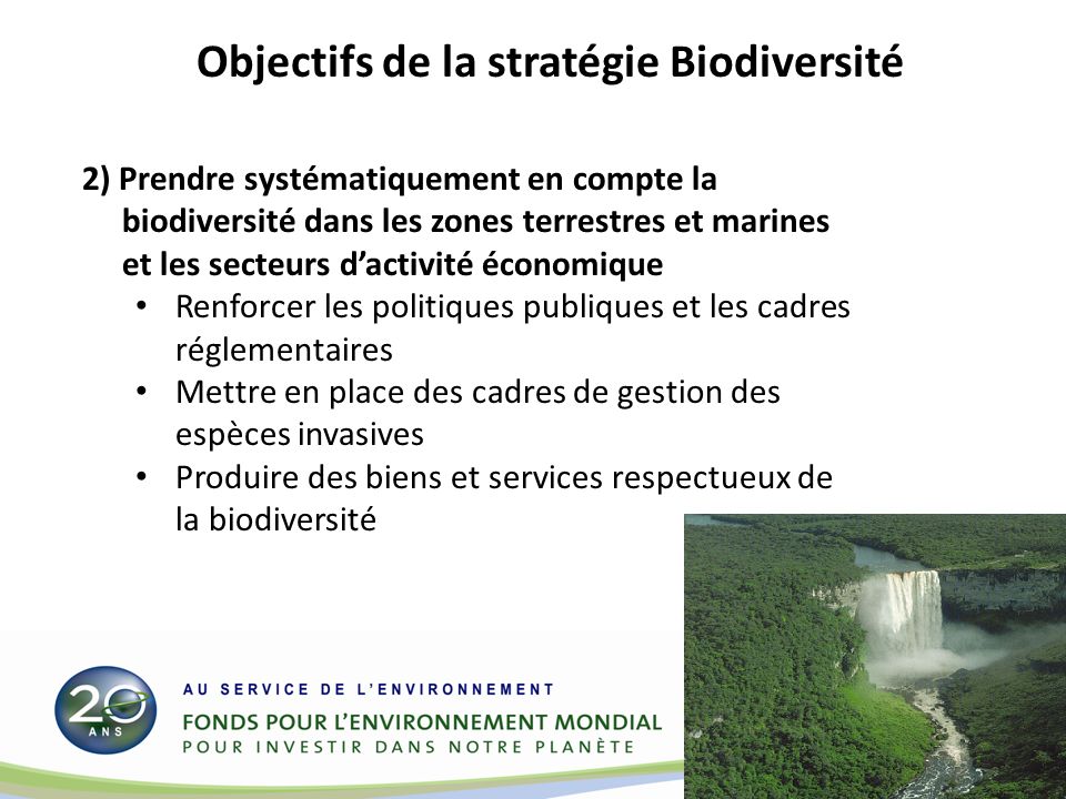 2) Prendre systématiquement en compte la biodiversité dans les zones terrestres et marines et les secteurs dactivité économique Renforcer les politiques publiques et les cadres réglementaires Mettre en place des cadres de gestion des espèces invasives Produire des biens et services respectueux de la biodiversité Objectifs de la stratégie Biodiversité