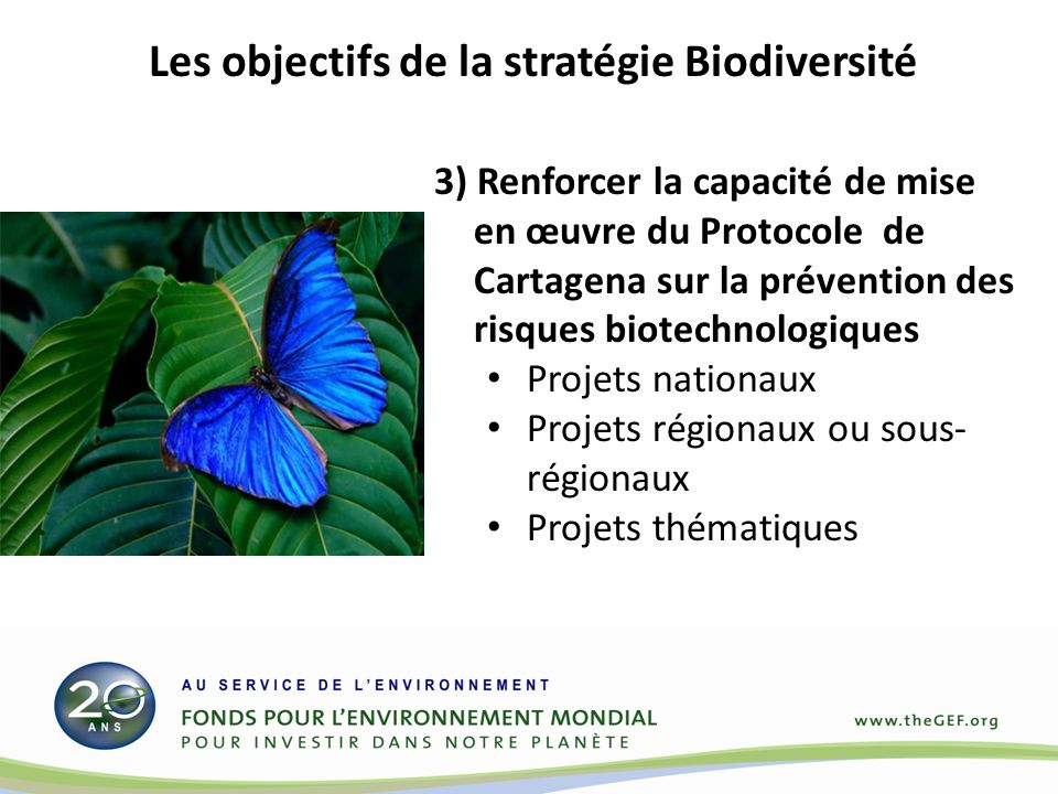 3) Renforcer la capacité de mise en œuvre du Protocole de Cartagena sur la prévention des risques biotechnologiques Projets nationaux Projets régionaux ou sous- régionaux Projets thématiques Les objectifs de la stratégie Biodiversité