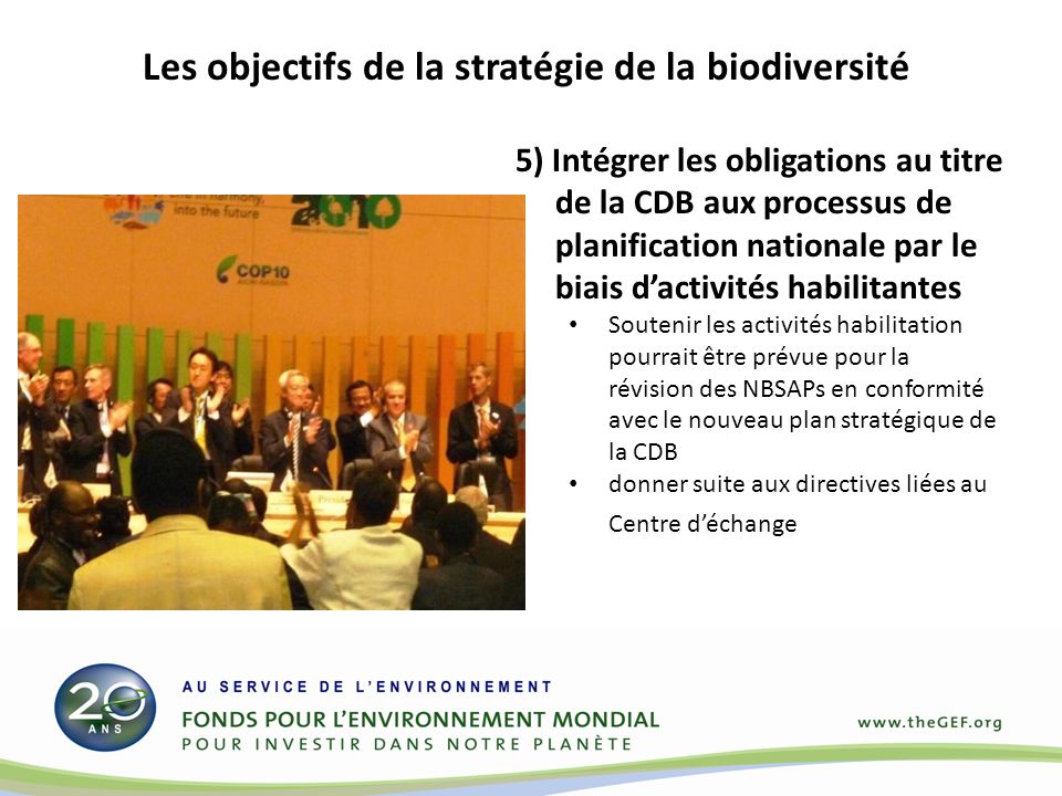 5) Intégrer les obligations au titre de la CDB aux processus de planification nationale par le biais dactivités habilitantes Soutenir les activités habilitation pourrait être prévue pour la révision des NBSAPs en conformité avec le nouveau plan stratégique de la CDB donner suite aux directives liées au Centre déchange Les objectifs de la stratégie de la biodiversité