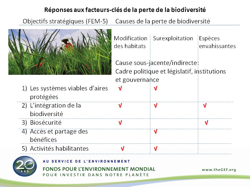 Réponses aux facteurs-clés de la perte de la biodiversité