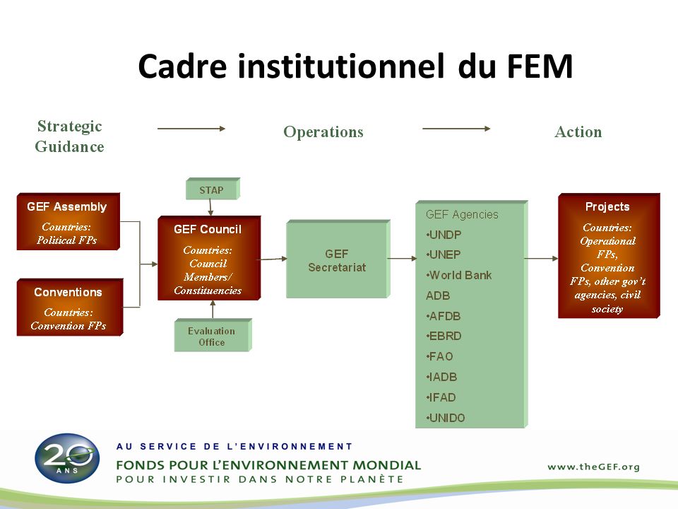 Cadre institutionnel du FEM