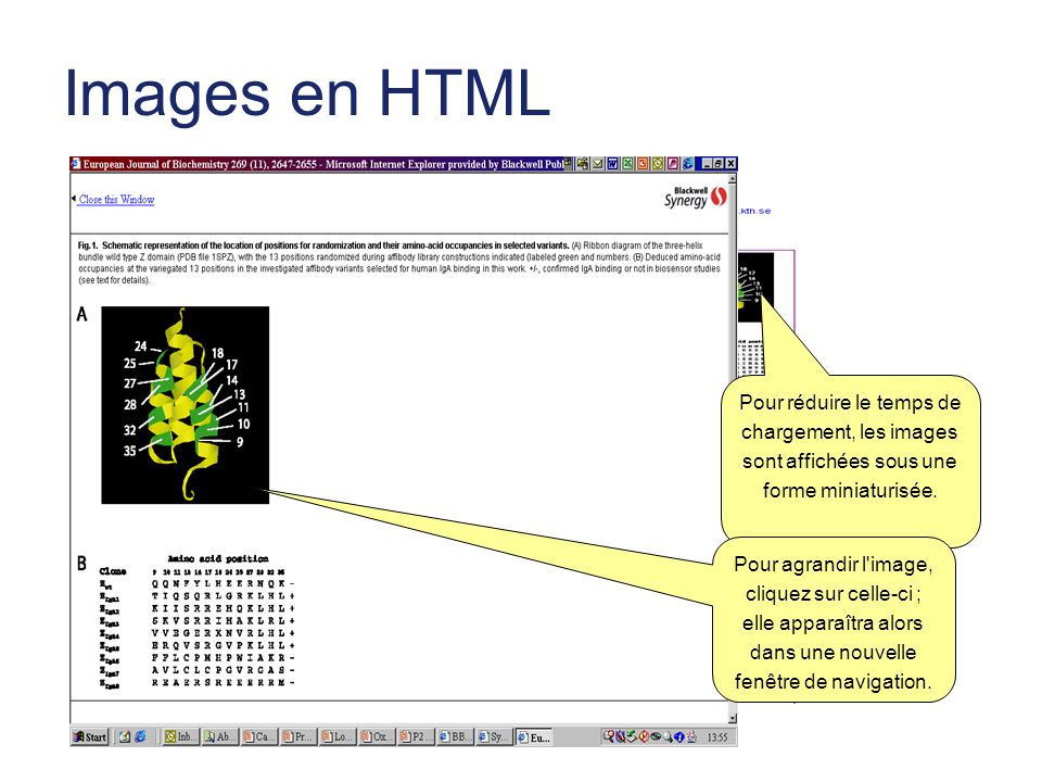 Images en HTML Pour réduire le temps de chargement, les images sont affichées sous une forme miniaturisée.