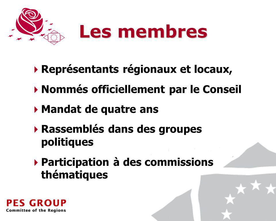 7 Les membres Représentants régionaux et locaux, Nommés officiellement par le Conseil Mandat de quatre ans Rassemblés dans des groupes politiques Participation à des commissions thématiques