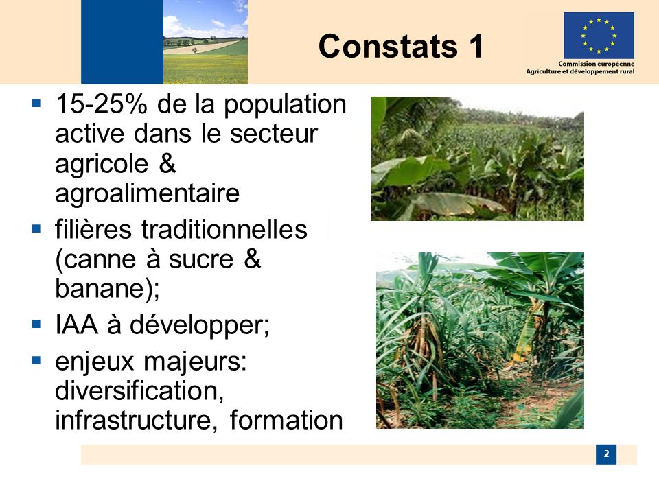 2 Constats % de la population active dans le secteur agricole & agroalimentaire filières traditionnelles (canne à sucre & banane); IAA à développer; enjeux majeurs: diversification, infrastructure, formation