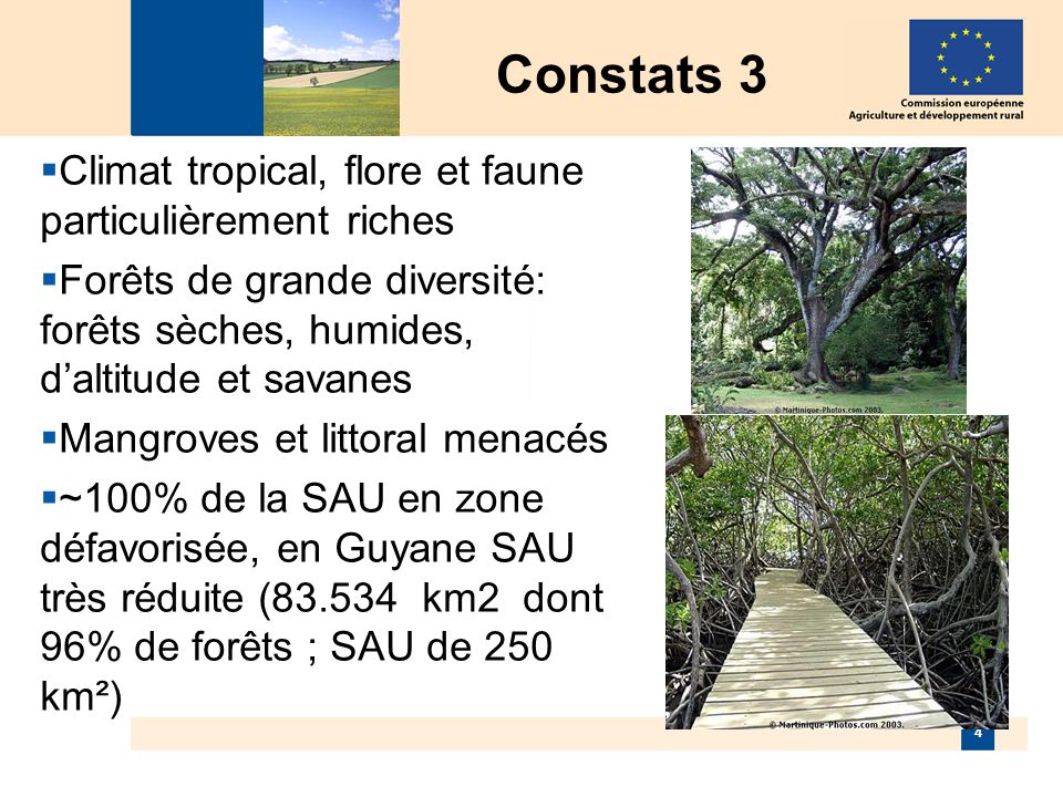 4 Constats 3 Climat tropical, flore et faune particulièrement riches Forêts de grande diversité: forêts sèches, humides, daltitude et savanes Mangroves et littoral menacés ~100% de la SAU en zone défavorisée, en Guyane SAU très réduite ( km2 dont 96% de forêts ; SAU de 250 km²)