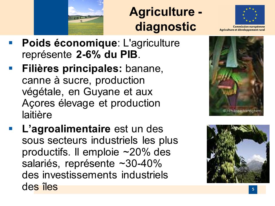 5 Agriculture - diagnostic Poids économique: L agriculture représente 2-6% du PIB.