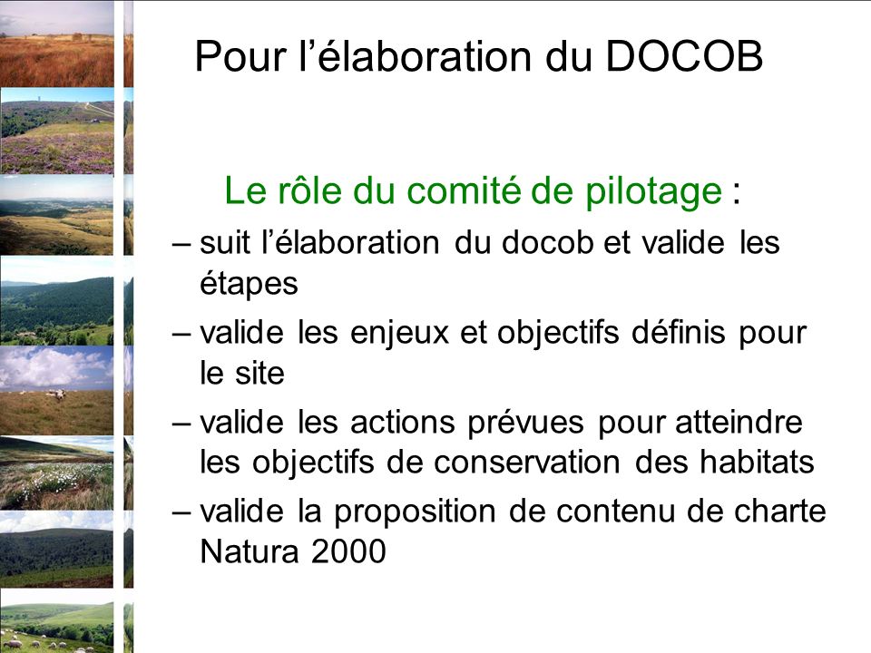 Le rôle du comité de pilotage : –suit lélaboration du docob et valide les étapes –valide les enjeux et objectifs définis pour le site –valide les actions prévues pour atteindre les objectifs de conservation des habitats –valide la proposition de contenu de charte Natura 2000 Pour lélaboration du DOCOB