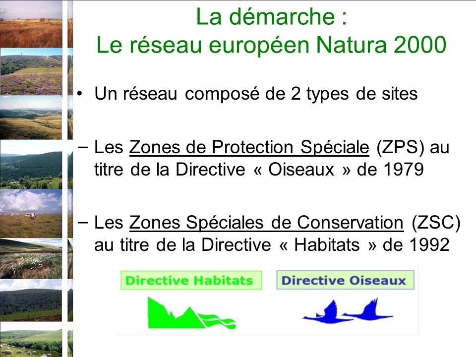 La démarche : Le réseau européen Natura 2000 Un réseau composé de 2 types de sites Les Zones de Protection Spéciale (ZPS) au titre de la Directive « Oiseaux » de 1979 Les Zones Spéciales de Conservation (ZSC) au titre de la Directive « Habitats » de 1992