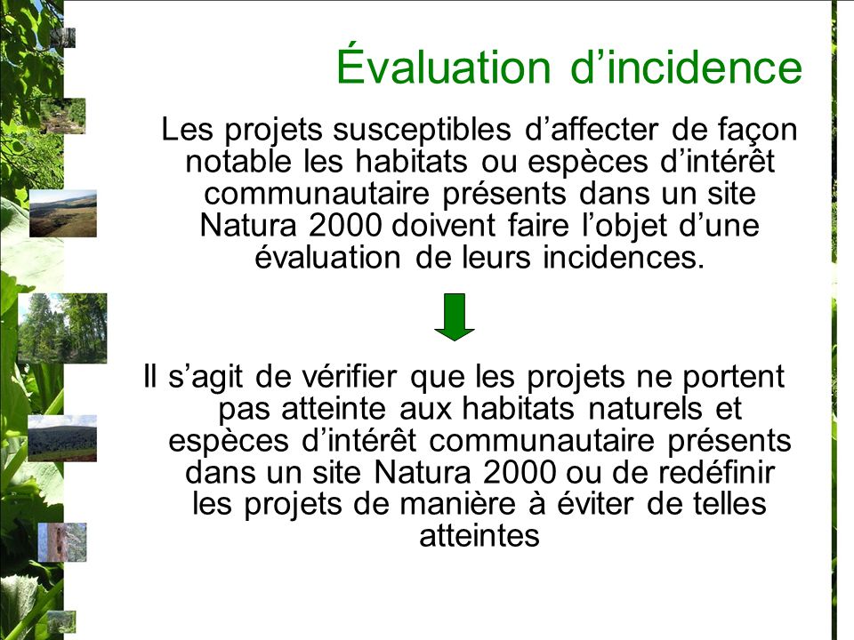 Évaluation dincidence Les projets susceptibles daffecter de façon notable les habitats ou espèces dintérêt communautaire présents dans un site Natura 2000 doivent faire lobjet dune évaluation de leurs incidences.