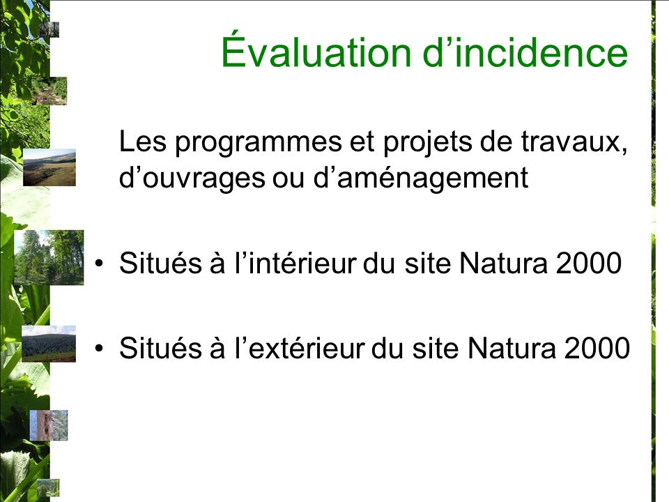 Évaluation dincidence Les programmes et projets de travaux, douvrages ou daménagement Situés à lintérieur du site Natura 2000 Situés à lextérieur du site Natura 2000
