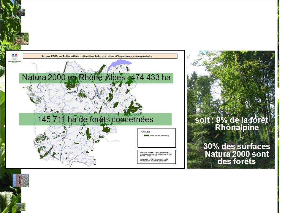 Natura 2000 en Rhône-Alpes : ha ha de forêts concernées soit : 9% de la forêt Rhônalpine 30% des surfaces Natura 2000 sont des forêts