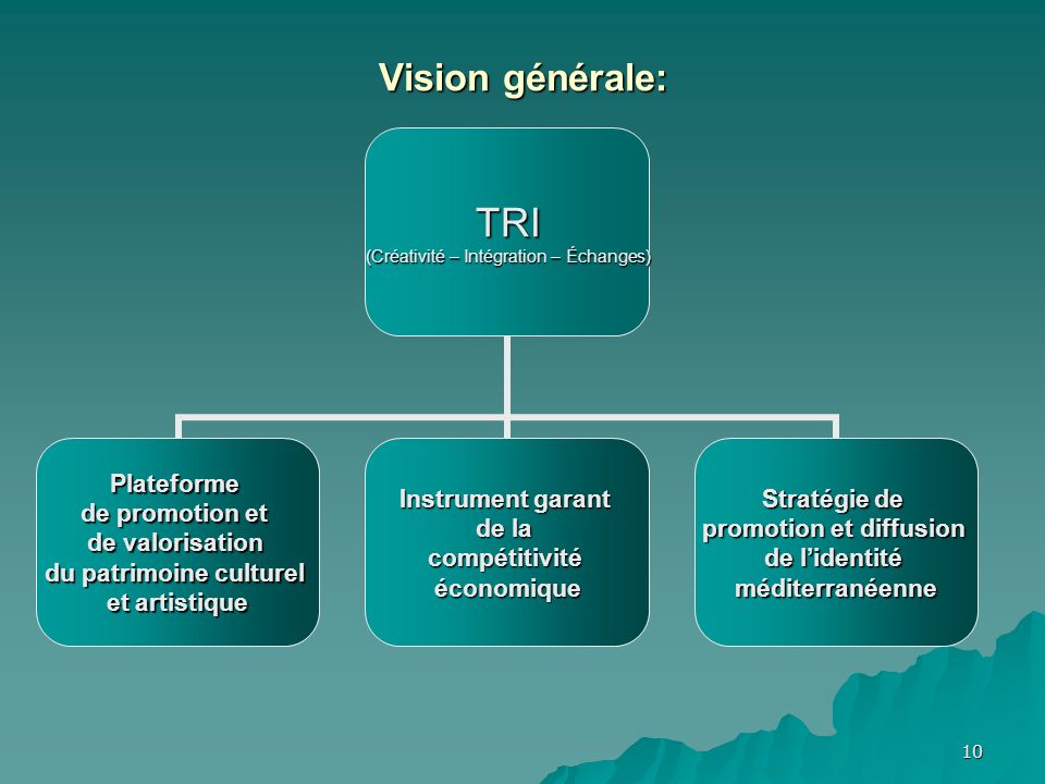 10 Vision générale: TRI (Créativité – Intégration – Échanges) Plateforme de promotion et de valorisation du patrimoine culturel et artistique Instrument garant de la compétitivitééconomique Stratégie de promotion et diffusion de lidentité méditerranéenne