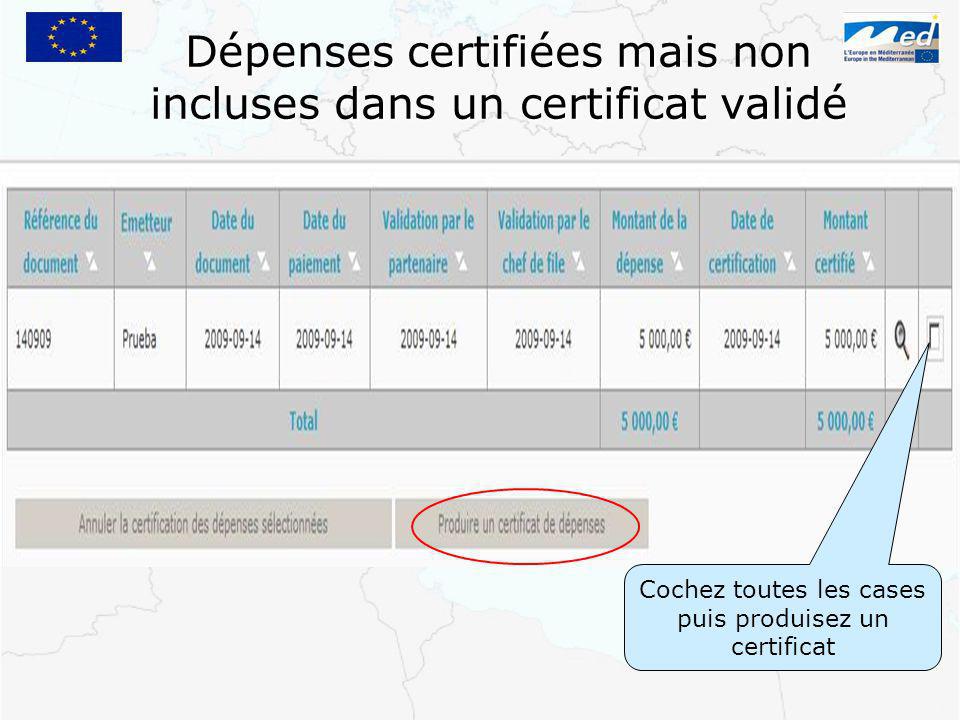 Dépenses certifiées mais non incluses dans un certificat validé Cochez toutes les cases puis produisez un certificat