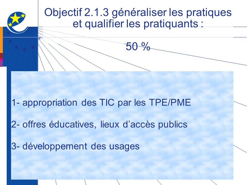 Objectif généraliser les pratiques et qualifier les pratiquants : 50 % 1- appropriation des TIC par les TPE/PME 2- offres éducatives, lieux daccès publics 3- développement des usages