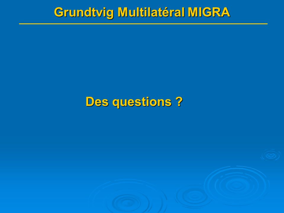 Grundtvig Multilatéral MIGRA Des questions