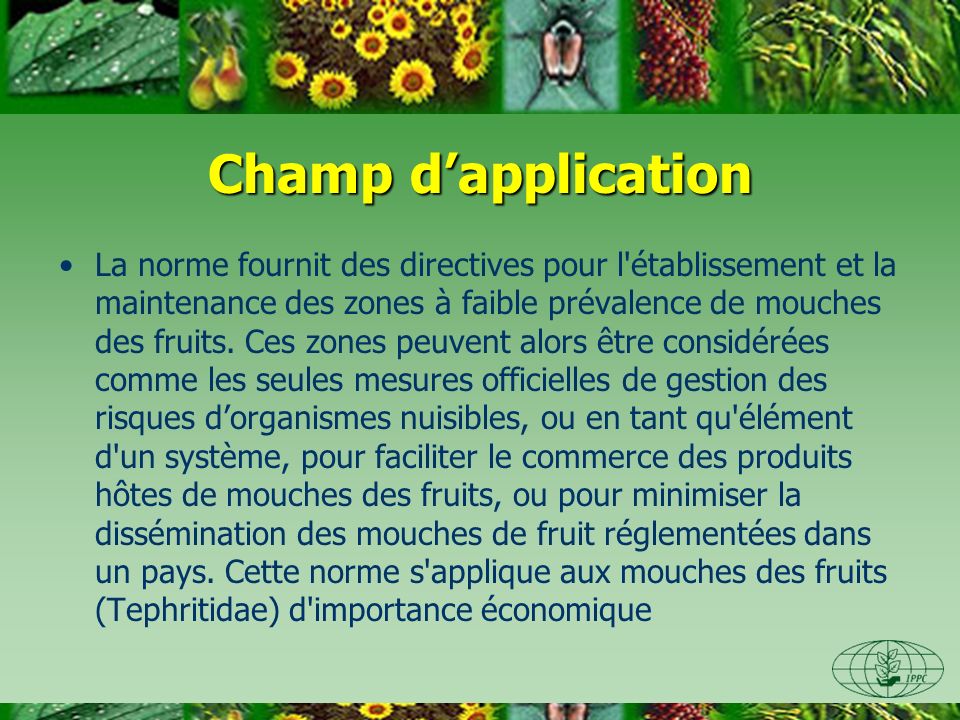 Champ dapplication La norme fournit des directives pour l établissement et la maintenance des zones à faible prévalence de mouches des fruits.