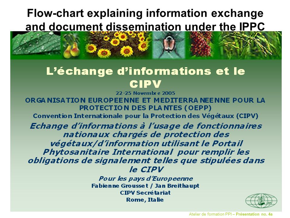Flow-chart explaining information exchange and document dissemination under the IPPC Atelier de formation PPI – Présentation no.