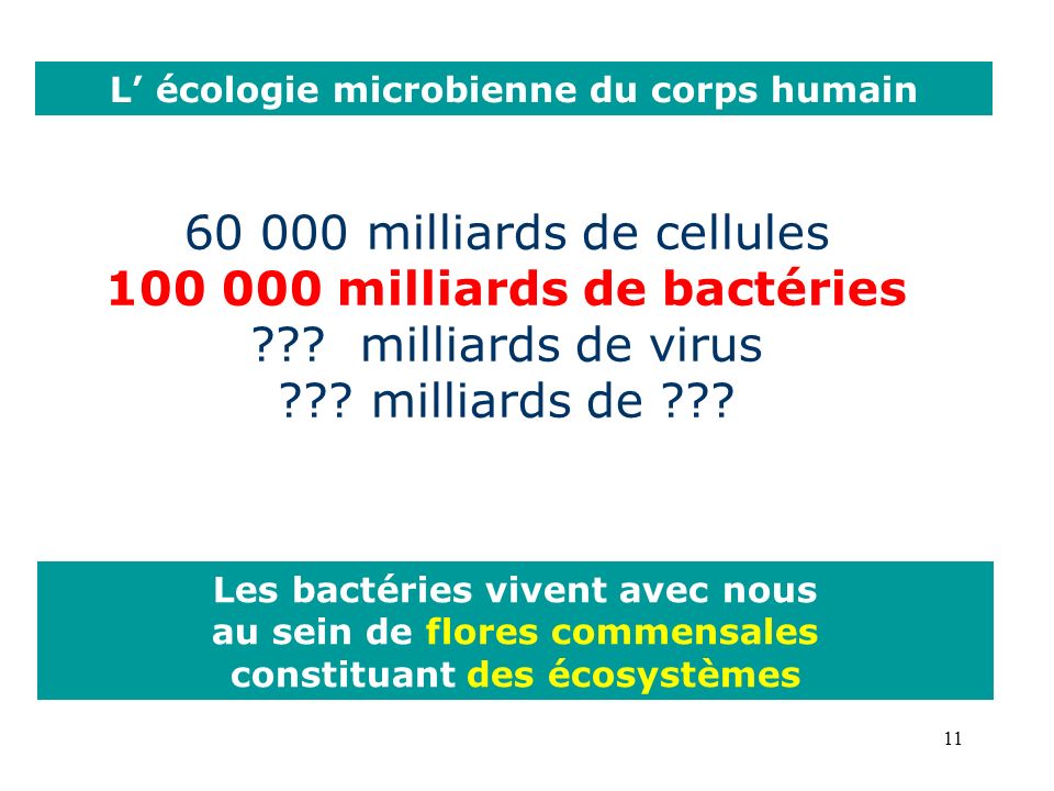 milliards de cellules milliards de bactéries .