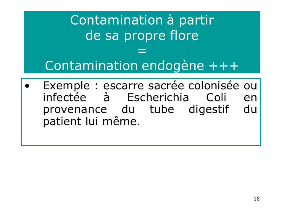 18 Contamination à partir de sa propre flore = Contamination endogène +++ Exemple : escarre sacrée colonisée ou infectée à Escherichia Coli en provenance du tube digestif du patient lui même.
