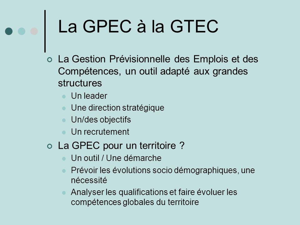 La GPEC à la GTEC La Gestion Prévisionnelle des Emplois et des Compétences, un outil adapté aux grandes structures Un leader Une direction stratégique Un/des objectifs Un recrutement La GPEC pour un territoire .