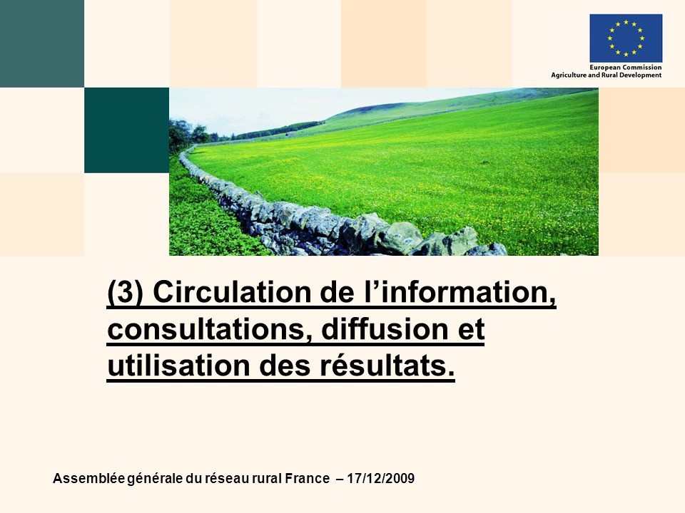 Assemblée générale du réseau rural France – 17/12/2009 (3) Circulation de linformation, consultations, diffusion et utilisation des résultats.