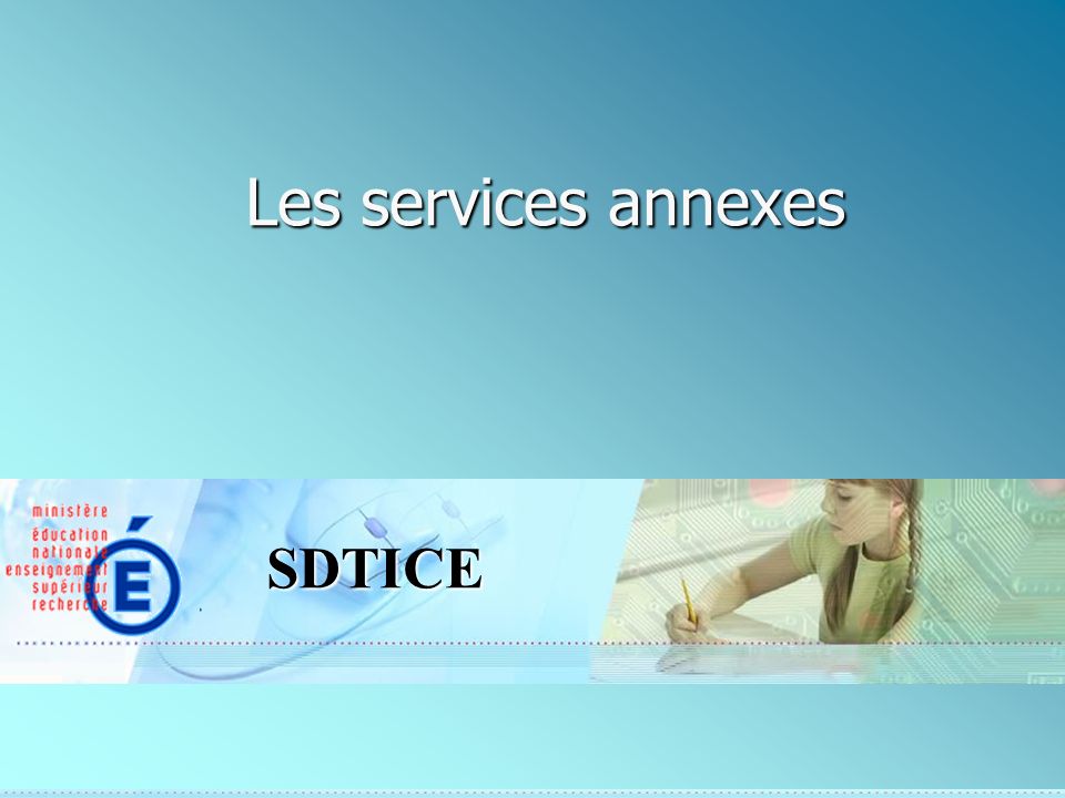 SDTICE Les services annexes