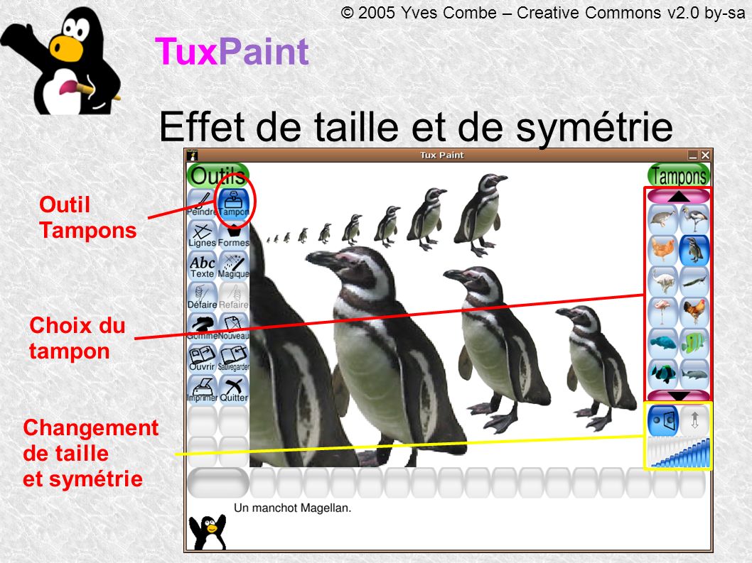 TuxPaint © 2005 Yves Combe – Creative Commons v2.0 by-sa Effet de taille et de symétrie Outil Tampons Choix du tampon Changement de taille et symétrie
