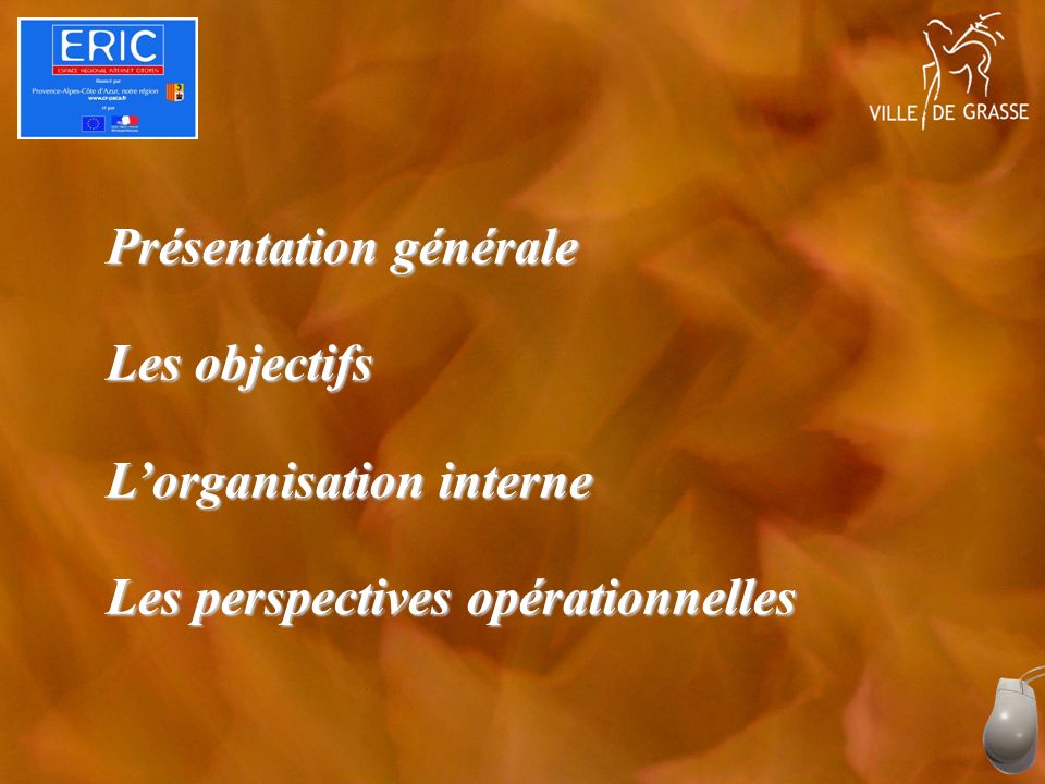 Présentation générale Les objectifs Lorganisation interne Les perspectives opérationnelles