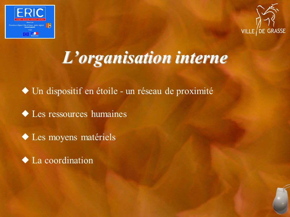Lorganisation interne Un dispositif en étoile - un réseau de proximité Les ressources humaines Les moyens matériels La coordination
