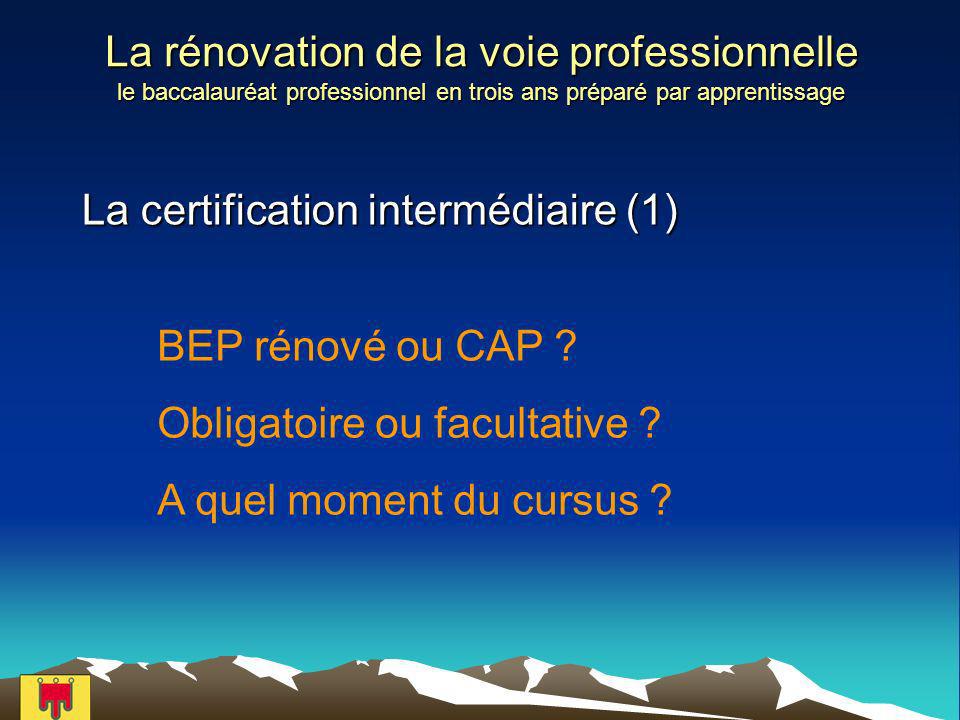La rénovation de la voie professionnelle le baccalauréat professionnel en trois ans préparé par apprentissage La certification intermédiaire (1) BEP rénové ou CAP .