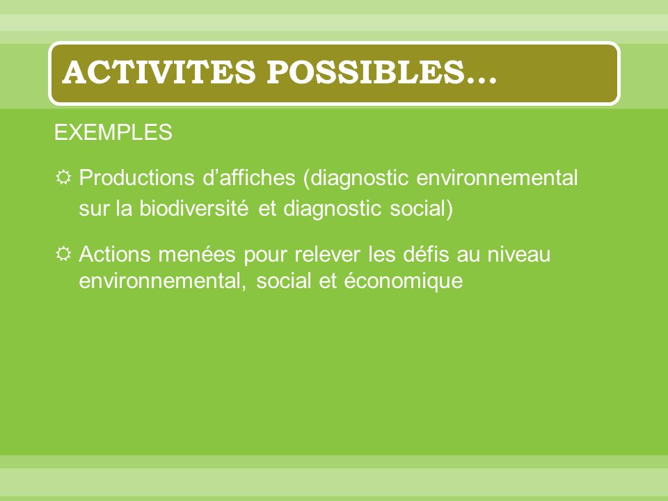 ACTIVITES POSSIBLES… EXEMPLES Productions daffiches (diagnostic environnemental sur la biodiversité et diagnostic social) Actions menées pour relever les défis au niveau environnemental, social et économique