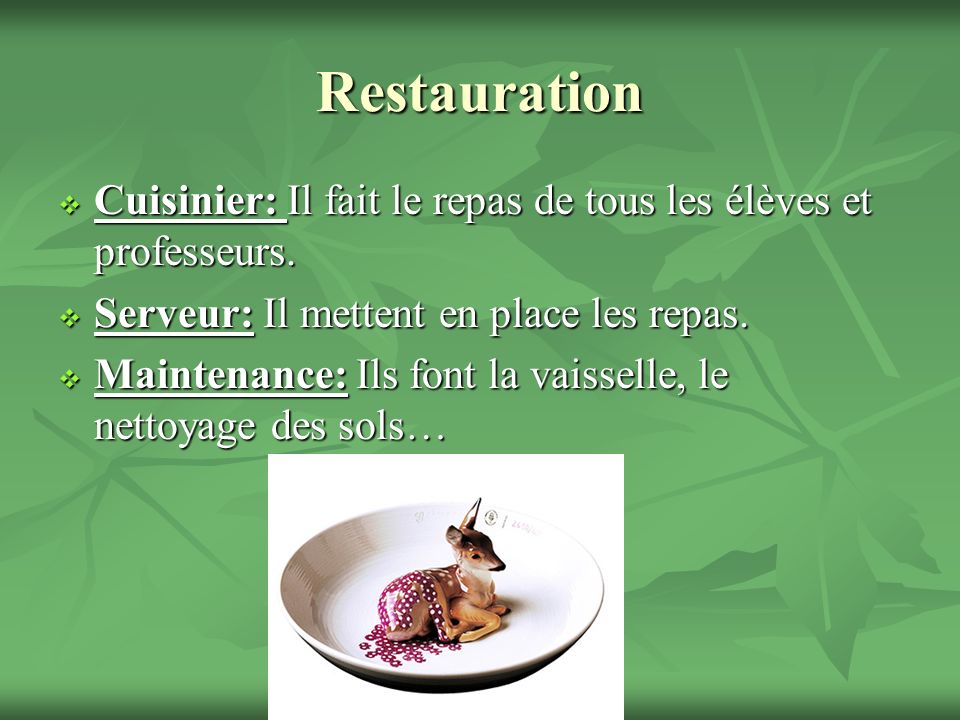 Restauration Cuisinier: Il fait le repas de tous les élèves et professeurs.