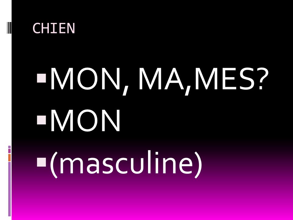 CHIEN MON, MA,MES MON (masculine)