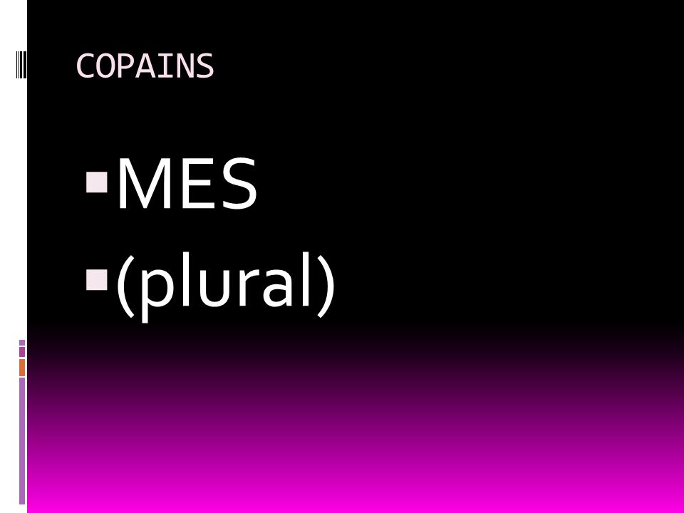COPAINS MES (plural)